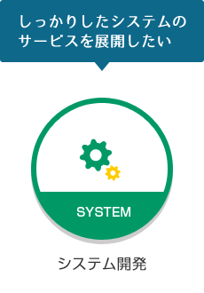 システム開発