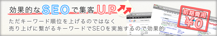 効果的なSEO対策で集客UP！初期費用0円からで安心です。